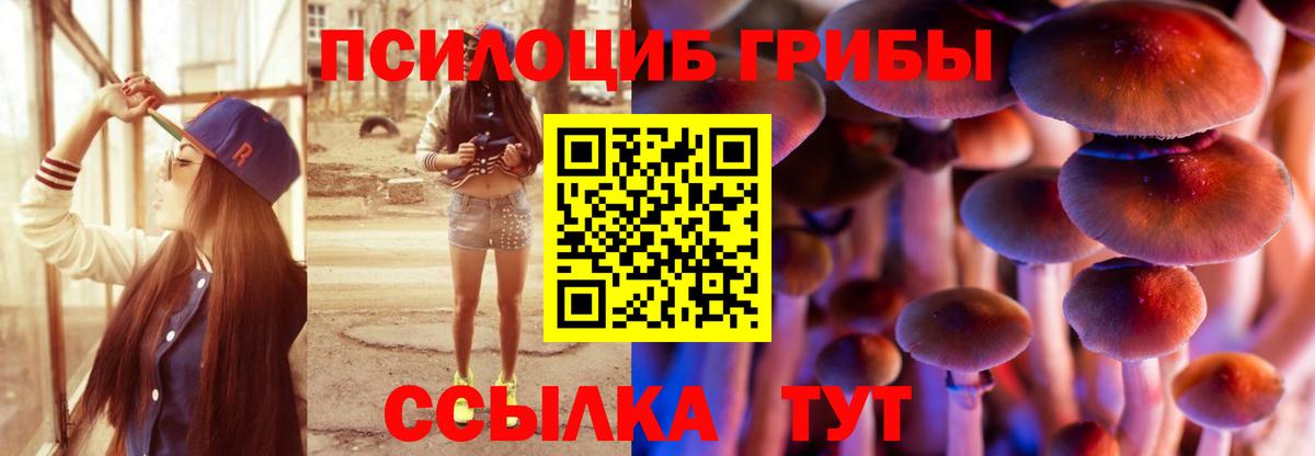 Можайск  купить наркоту  Псилоцибиновые грибы GOLDEN TEACHER  Вход с VPN  Галлюциногенные грибы Psilocybe 